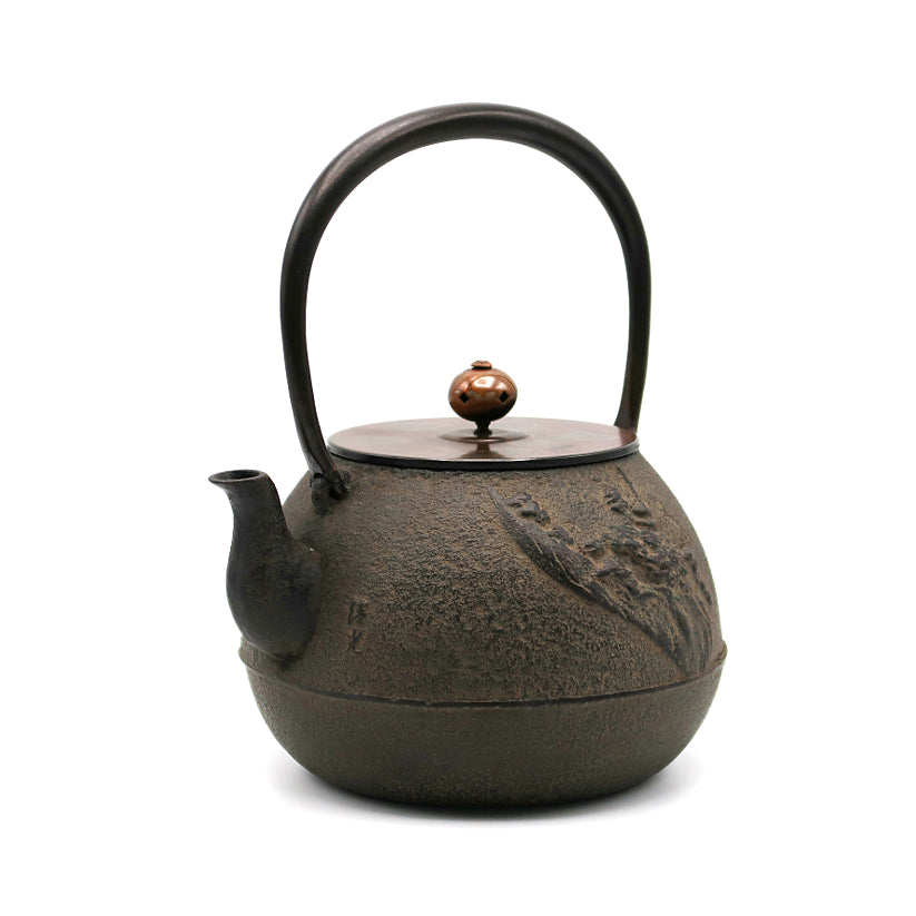 Landscape pattern iron kettle by Kiyomitsu