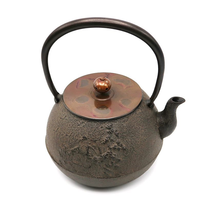 Landscape pattern iron kettle by Kiyomitsu